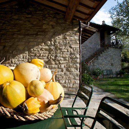 Brigolante Guest Apartments Ассизи Номер фото
