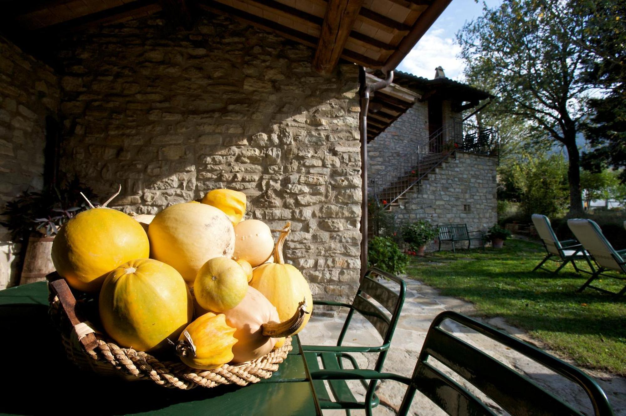 Brigolante Guest Apartments Ассизи Номер фото